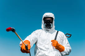 Best Termite Inspection and Treatment  in Lowellville, OH